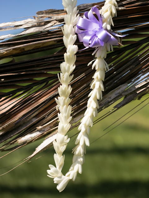 tuberose lei greeting