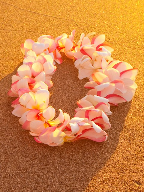 tuberose mix lei greeting