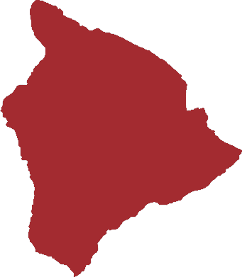 Big Island Lei Greetings