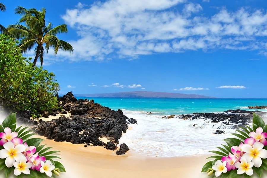 Maui scenery